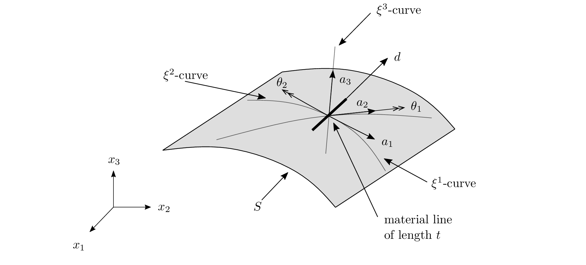 Shell kinematics