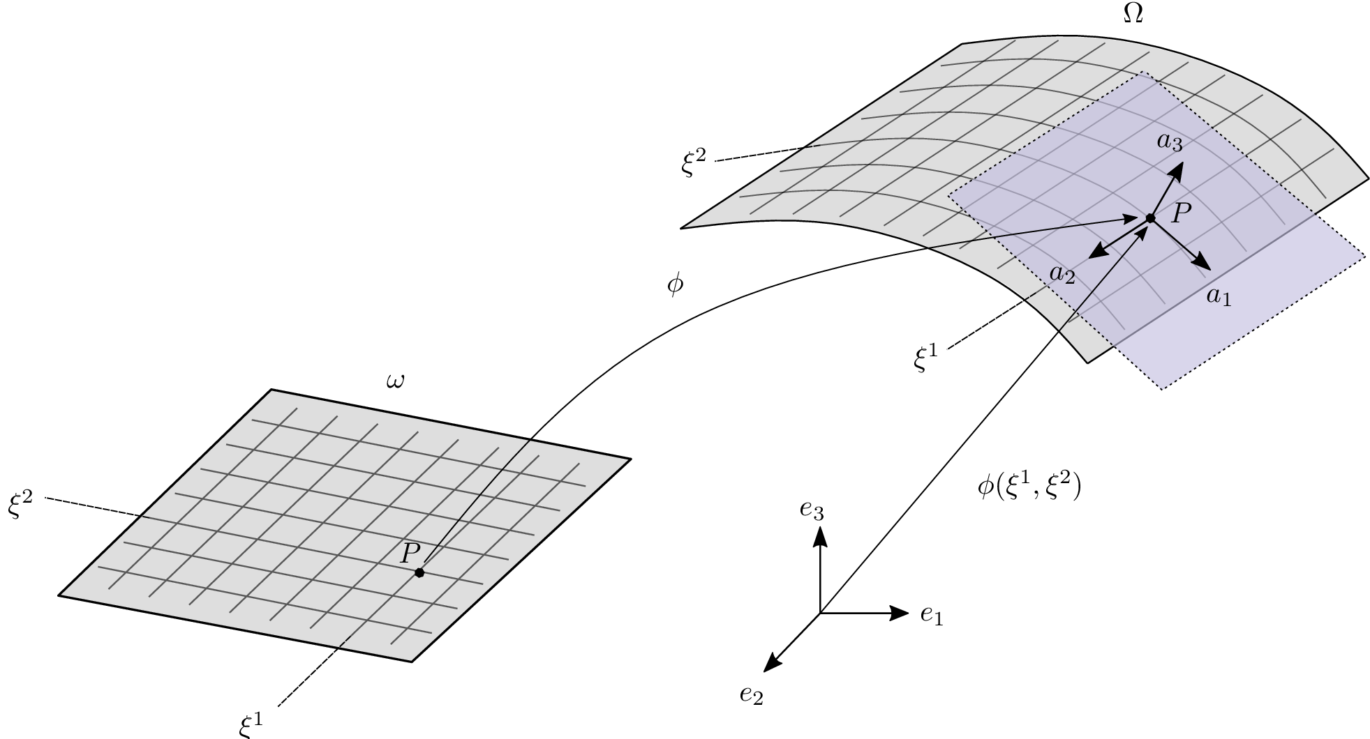 Shell reference kinematics